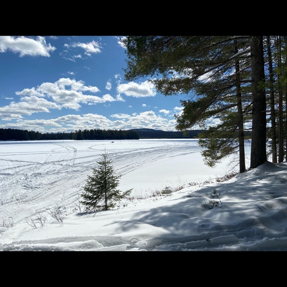 Meet your Posher, Lori - Picture 1 of 1